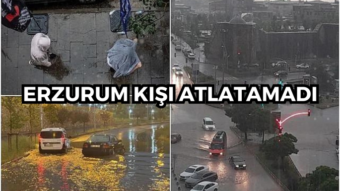 Erzurum kışı atlatamadı