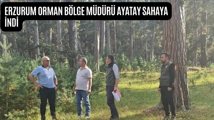 Erzurum Orman Bölge Müdürü Ayatay sahaya indi