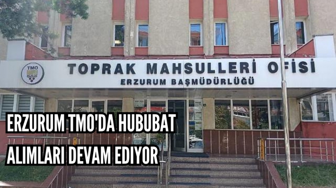 Erzurum TMO'da hububat alımları devam ediyor