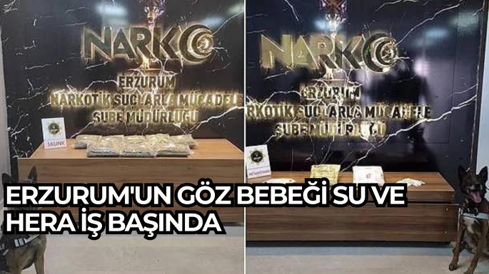 Erzurum'un göz bebeği Su ve Hera iş başında