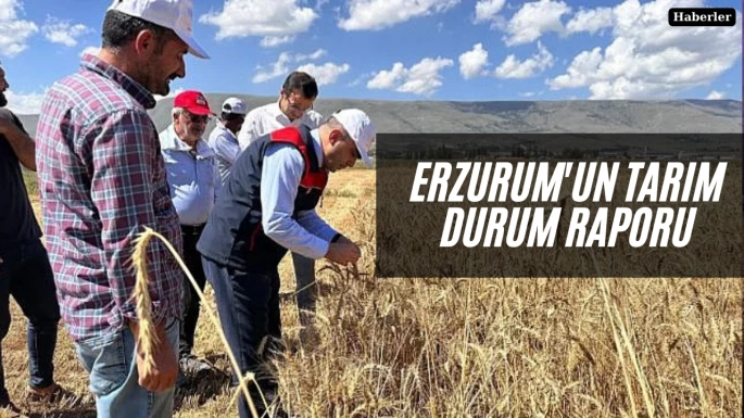 Erzurum'un tarım durum raporu