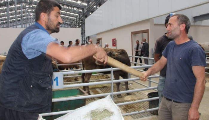 Erzurumlular Kurban Pazarına Akın Ediyor…