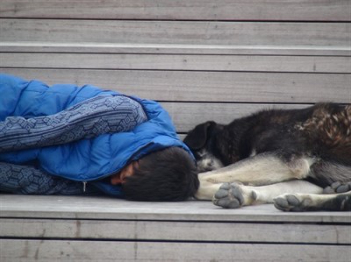 Gören duygulandı! Köpeklerle aynı bankta…