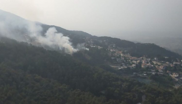 Hatay’da orman yangını