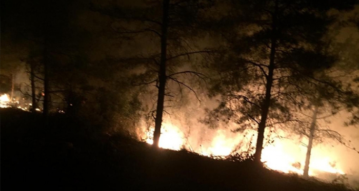 Hatay’da orman yangını