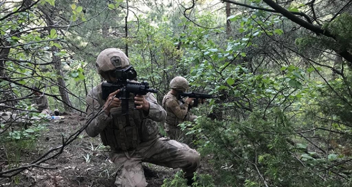 Hatay’da Yıldırım-5 Amanoslar Operasyonu başlatıldı