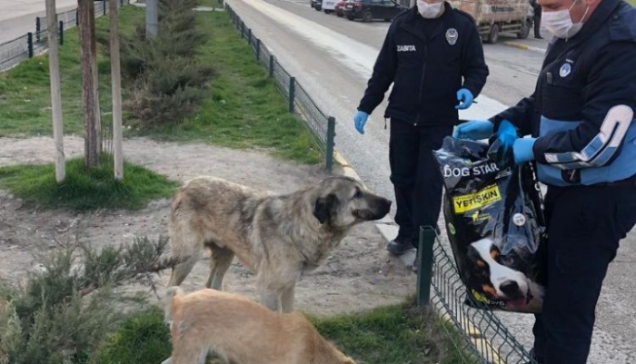 Horasan Belediyesi’nden sokak hayvanlarına mama ve su desteği