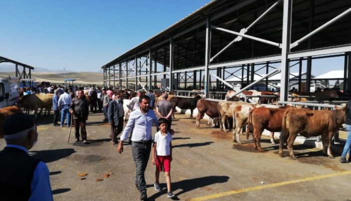 Horasan’da Kurban pazarlığında ‘sopalı’ dönem