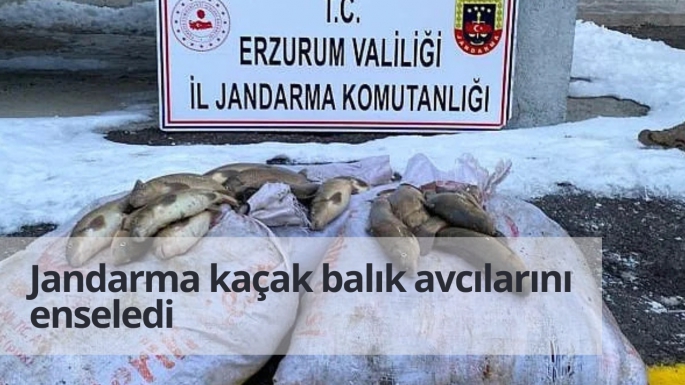 Jandarma kaçak balık avcılarını enseledi