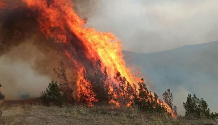 Karabük yangını rüzgarın etkisiyle ilerliyor