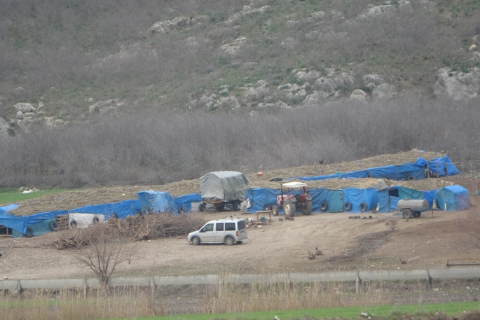 Koyunu kurtarmak isteyen çobanın feci ölümü