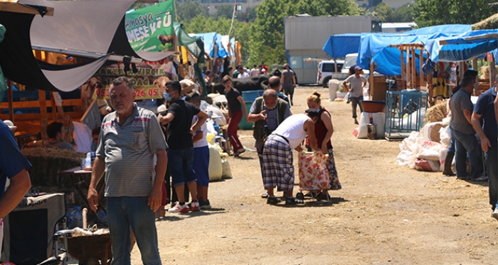 Kurban pazarlarında hareketlilik devam ediyor