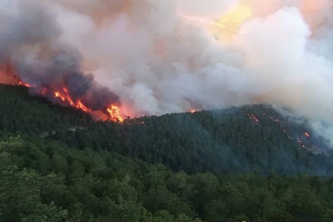 Kütahya'da orman yangını çıktı