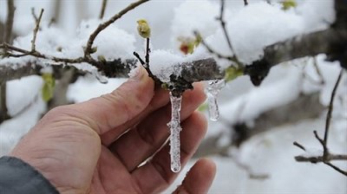 Meteorolojiden zirai don uyarısı