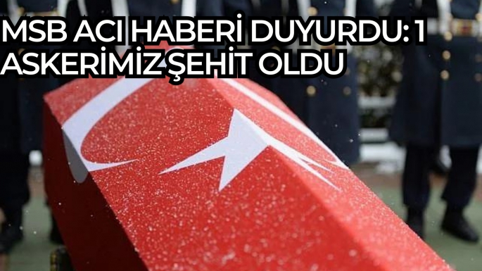 MSB acı haberi duyurdu: 1 askerimiz şehit oldu