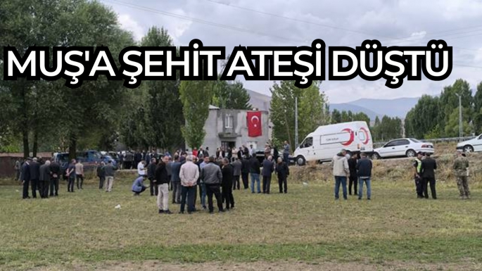 Muş'a şehit ateşi düştü