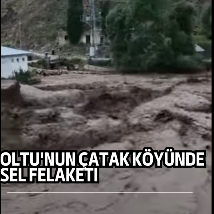 Oltu'nun Çatak köyünde sel felaketi