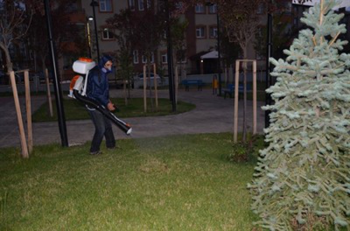 PALANDÖKEN BELEDİYESİ, PARKLAR İLAÇLANIYOR