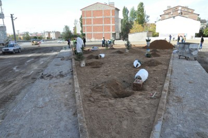 Palandöken Belediyesi ''Sevdamız yeşil bir Palandöken'' sloganıyla bin fidan dikimine başladı