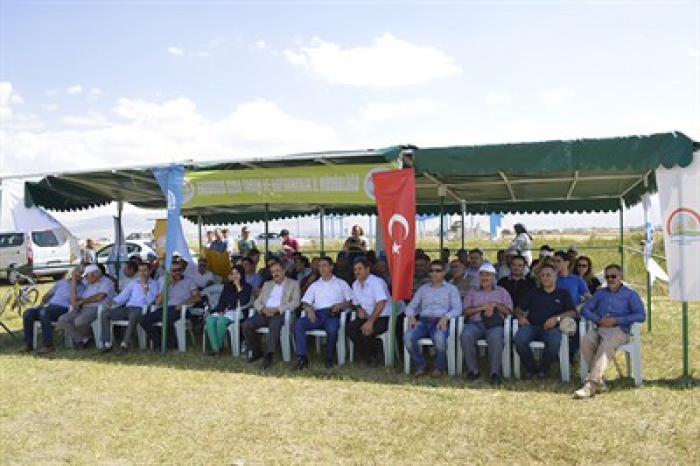 Rulo Balya Silajı için Aziziye’de ‘Tarla Günü’ düzenlendi