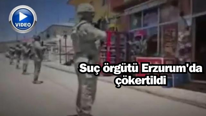 Suç örgütü Erzurum'da çökertildi