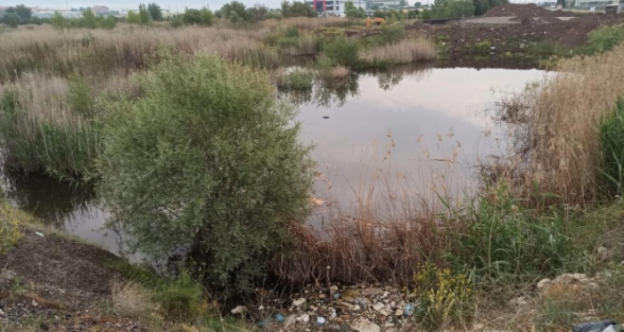 Tabelaya çarpan otomobil dereye uçtu: 3 ölü, 1 yaralı