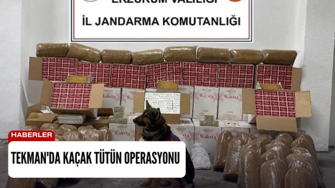 Tekman'da kaçak tütün operasyonu