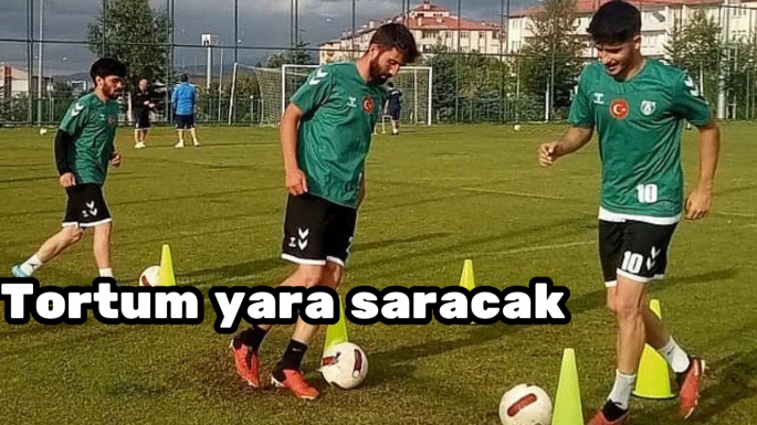 Tortum yara saracak