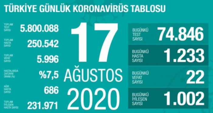 Türkiye’de son 24 saatte 1233 kişiye koronavirüs tanısı konuldu, 22 kişi hayatını kaybetti