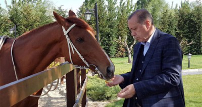 Twitter'dan paylaştı! Erdoğan'dan özel kareler…