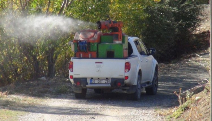 Van’da bir mahalleyi pireler bastı