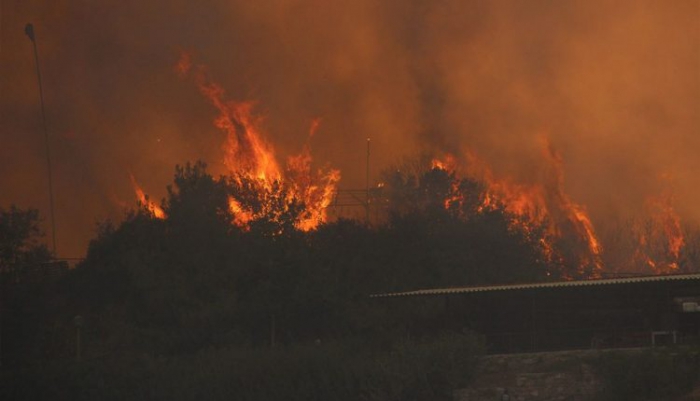 Yangınlarda son durum: 161’i kontrol altında, 13 yangın devam ediyor